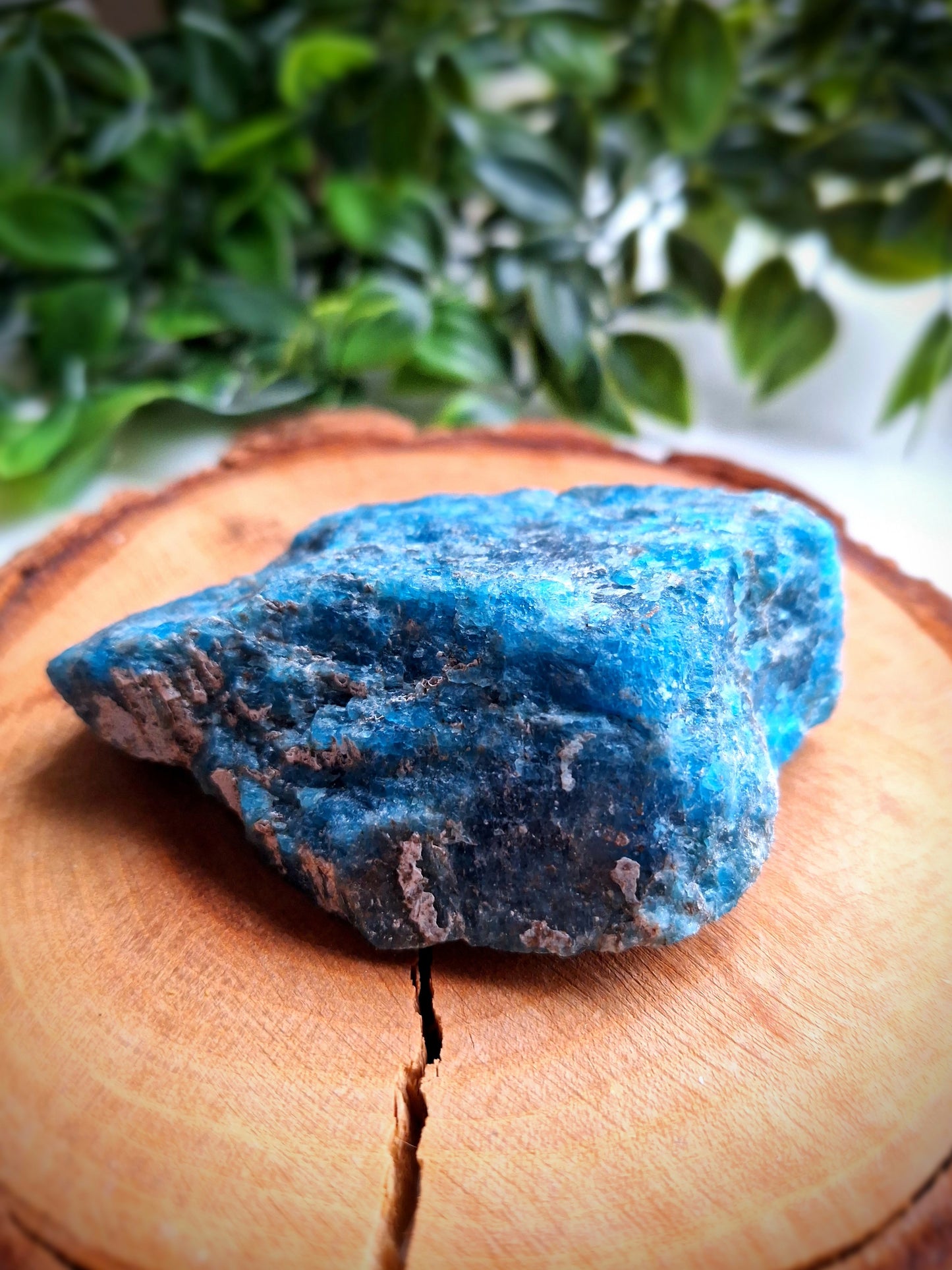 Raw Blue Apatite