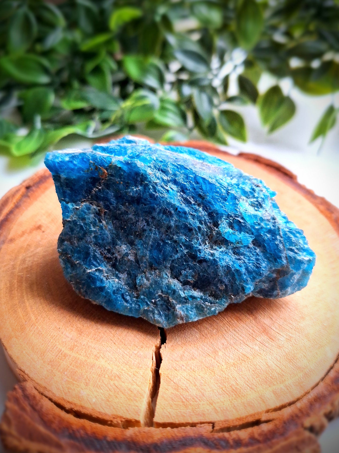 Raw Blue Apatite