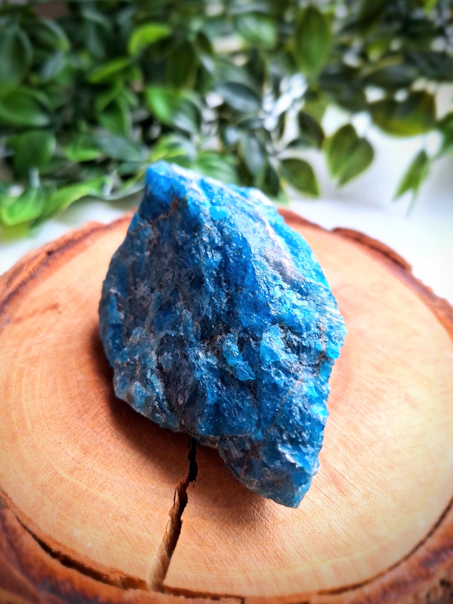 Raw Blue Apatite